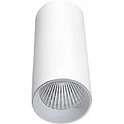Точечный светильник Rollo DL18895R10N1W
