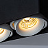 Потолочный светильник Arte Lamp Pictor A5654PL-2BK