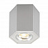 Потолочный светильник Zumaline Polygon cl r 20077-AL
