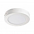Потолочный светильник Favourite Flashled 1347-12C