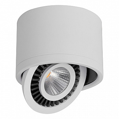 Точечный светильник 32701