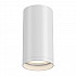 Точечный светильник FOCUS S C052CL-01W