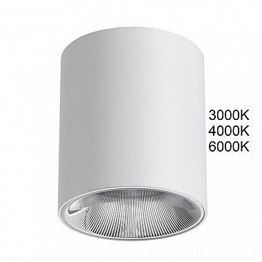 Точечный светильник Brim 7139/12CL