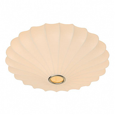 Потолочный светильник Arte Lamp Cocoon A6090PL-2WH