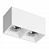 Накладной светильник Denkirs DK3085-WH+CH