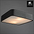 Потолочный светильник Arte Lamp Cosmopolitan A7210PL-2BK