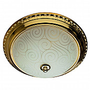 Потолочный светильник Arte Lamp 28 A3013PL-2GO