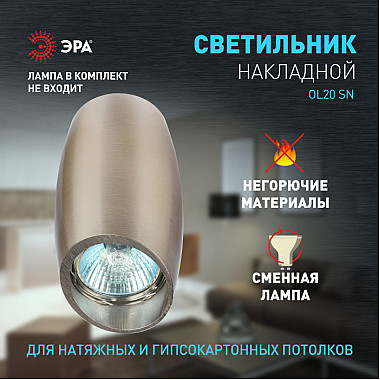 Точечный светильник OL20 SN