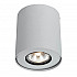 Потолочный светильник Arte Lamp Falcon A5633PL-1WH