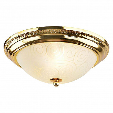 Потолочный светильник Arte Lamp 28 A3013PL-2GO