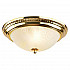 Потолочный светильник Arte Lamp 28 A3013PL-2GO