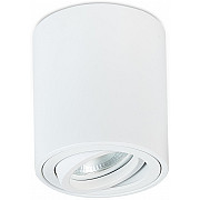 Точечный светильник Basis DL18613R1W