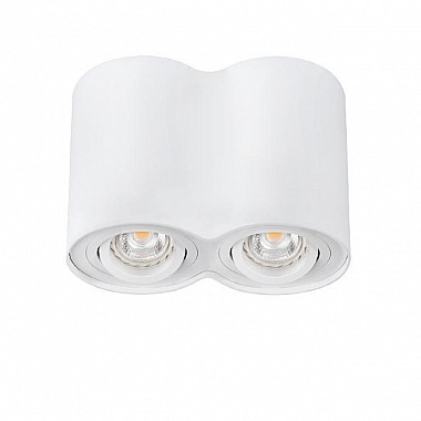 Точечные светильники Kanlux BORD DLP-250-W 22554
