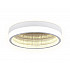 Потолочный светодиодный светильник Ambrella light Ice FA9431