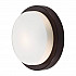 Потолочный светильник Odeon Light Holger 2744/1C