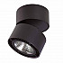 Потолочный светодиодный светильник Lightstar Forte Muro 214857