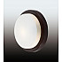 Потолочный светильник Odeon Light Holger 2744/1C