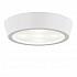 Потолочный светодиодный светильник Lightstar Urbano 214902