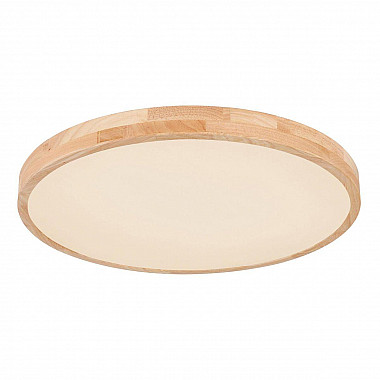 Потолочный светодиодный светильник Globo Leanara 41756-48