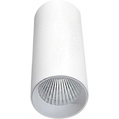 Точечный светильник Rollo DL18895R20W1W