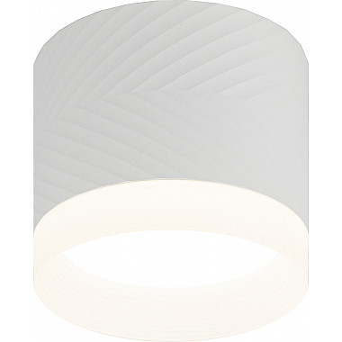 Точечный светильник OL38 WH