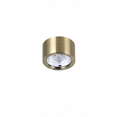 Потолочный светодиодный светильник Favourite Deorsum 2806-1U