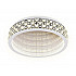 Потолочный светодиодный светильник Ambrella light Ice FA9433