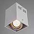Потолочный светильник Arte Lamp Cardani A5942PL-1WH