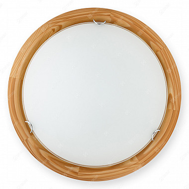 Настенно-потолочный светильник Hillary TL9023Y-02PN