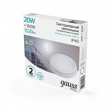 Настенно-потолочный светодиодный светильник Gauss Hall 193411220-S