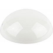 Настенно-потолочный светильник ДБП 06-12-012