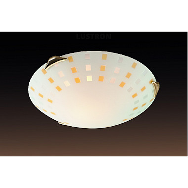 Настенно-потолочный светильник Quadro Ambra 263