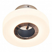 Настенно-потолочный светодиодный светильник Elvan NLS-2310