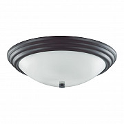 Настенно-потолочный светильник Lumion Kayla 5263/3C