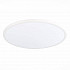 Настенно-потолочный светодиодный светильник ST Luce ST601.532.48