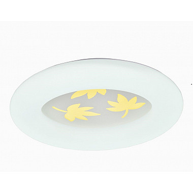 Настенно-потолочный светильник 000024987