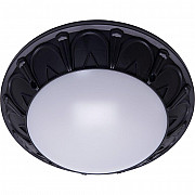 Настенно-потолочный светильник Feron Маэстро ФБУ 05-2*20-015 41361