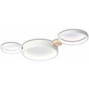 Настенно-потолочный светильник Comfort FL4812