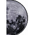 Настенно-потолочный светильник Planet 605/S LED Moon