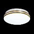 Настенно-потолочный светильник Sonex Smalli 3015/AL