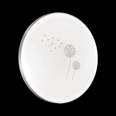 Настенно-потолочный светильник Sonex Airita 3005/EL