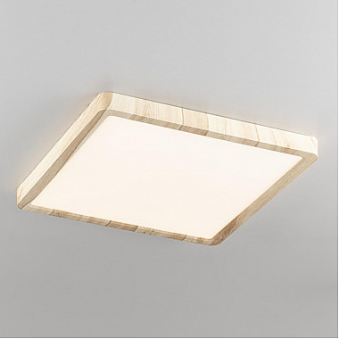 Настенно-потолочный светильник Бейсик CL738K242V