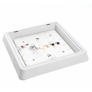 Настенно-потолочный светильник AL3021 41781