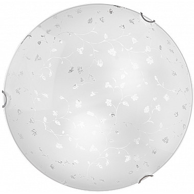 Настенно-потолочный светильник WA1N 000059681