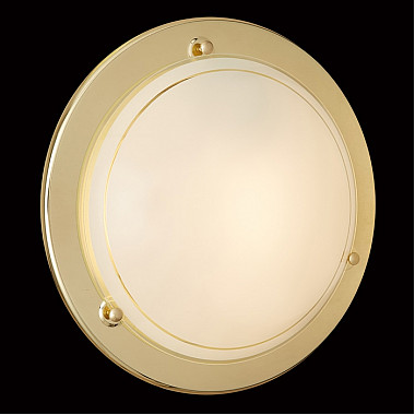 Настенно-потолочный светильник Riga 215