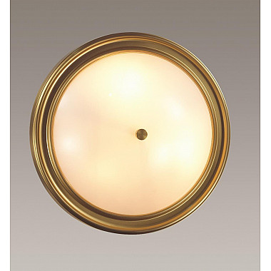 Настенно-потолочный светильник Lumion Nina 5259/3C