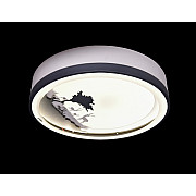 Настенно-потолочный светильник CW1L 000028183