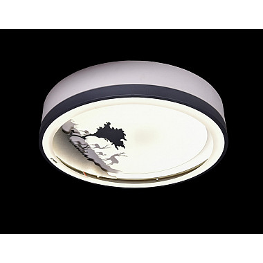 Настенно-потолочный светильник CW1L 000028183