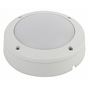 Настенно-потолочный светильник SPB-7-12-R