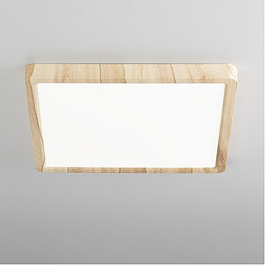 Настенно-потолочный светильник Бейсик CL738K242V